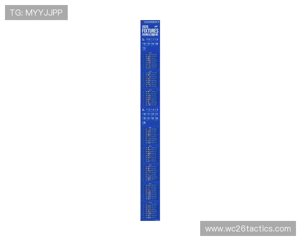 2026年世界杯足球赛程安排指南，帮助球迷提前规划观赛行程