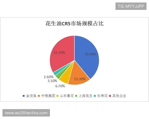 揭秘世界杯决赛球场的设计理念与未来发展趋势分析