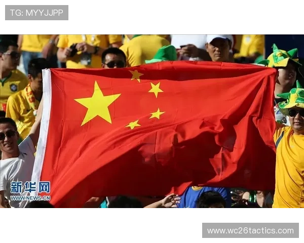 世界杯荷兰对日本比赛中国旗背后的国家认同感与民族情感 世界杯荷兰对日本比赛中国旗背后的国家认同感与民族情感